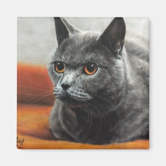 Grijze kat rust met oranje ogen magneet (Voorkant)