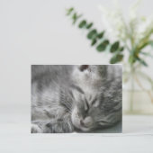 Grijze Kat Slapende Briefkaart (Staand voorkant)