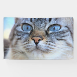 Grijze kat spandoek