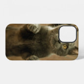 GRIJZE KAT STAAND OP TWEE POTEN iPhone HOESJE (Achterkant horizontaal)