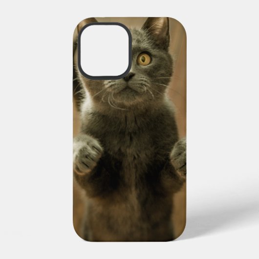 GRIJZE KAT STAAND OP TWEE POTEN iPhone HOESJE (Achterkant)