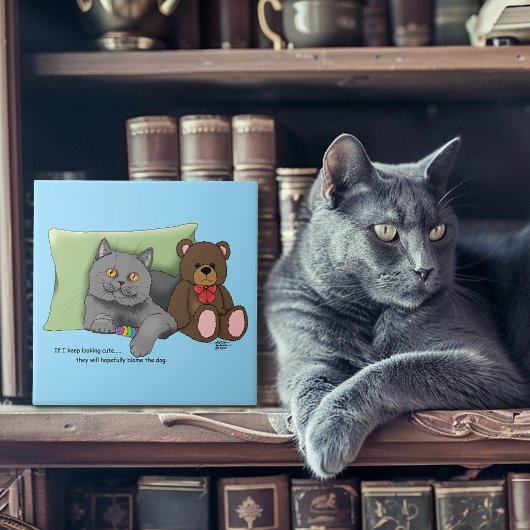 Grijze Kat Teddy Bear Tegeltje
