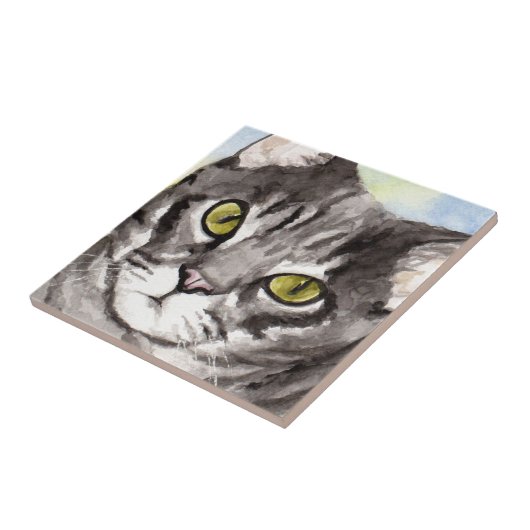 Grijze kat tegeltje (Zijkant)