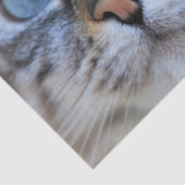 Grijze kat tissuepapier (Detail)