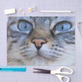 Grijze kat tissuepapier (Craft)