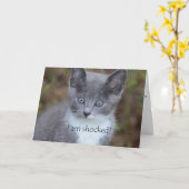 Grijze Kat Verlate Verjaardag Kaart (Gele Bloem)