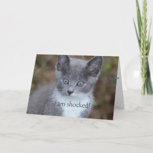 Grijze Kat Verlate Verjaardag Kaart