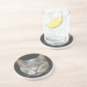 Grijze kat zandsteen onderzetter