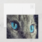 Grijze katblauwe ogen briefkaart (Voorkant / Achterkant)