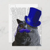 Grijze katje met blauw bovenste hak en blauwe snor briefkaart (Voorkant / Achterkant)