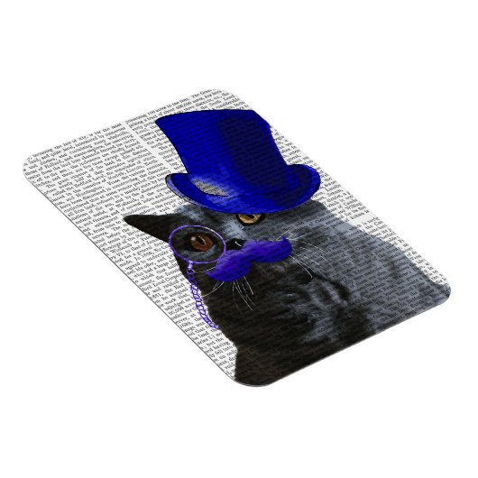 Grijze katje met blauw bovenste hak en blauwe snor magneet (Rechterzijde)