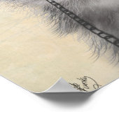 Grijze katje met bovenste hak poster (Hoek)