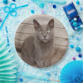 Grijze katten papieren bordje (Feest)