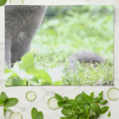 Grijze kattendoek theedoek (Gevouwen)