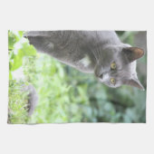 Grijze kattendoek theedoek (Horizontaal)