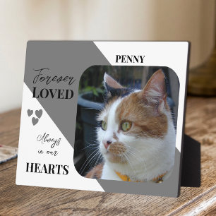 Grijze kattengedenkplek met foto voor huisdierherd fotoplaat