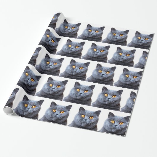 Grijze kattengele ogen cadeaupapier (Uitgerold)