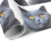 Grijze kattengele ogen cadeaupapier (Rol Hoek)