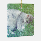 Grijze Kattenliefhebber Uw Foto Kerst Ornament (Rechts)