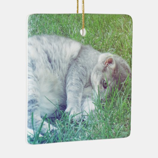 Grijze Kattenliefhebber Uw Foto Kerst Ornament (Rechts)