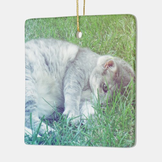 Grijze Kattenliefhebber Uw Foto Kerst Ornament (Links)