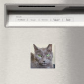 Grijze kattenmagneet magneet (Insitu (Vaatwasser))