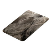 Grijze kattenmagneet magneet (Linkerzijde)