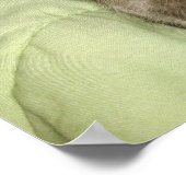 Grijze kattenslaap in een groene tas poster (Hoek)