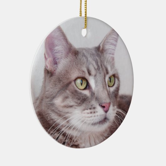 Grijze kattenversiering keramisch ornament (Rechts)