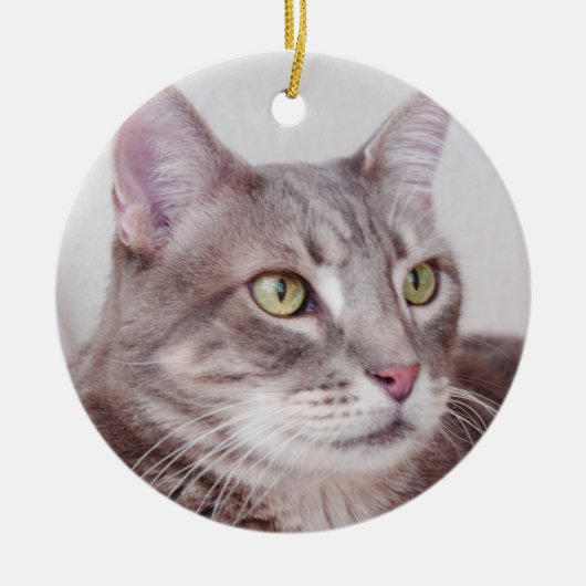 Grijze kattenversiering keramisch ornament (Voorkant)