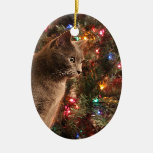 Grijze kattenversiering keramisch ornament (Voorkant)
