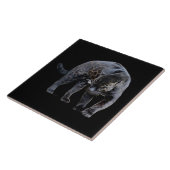 Grijze keramische tegels van de soort Jaguar Diabl Tegeltje (Zijkant)