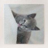 Grijze kitten likt sneeuw legpuzzel (Horizontaal)