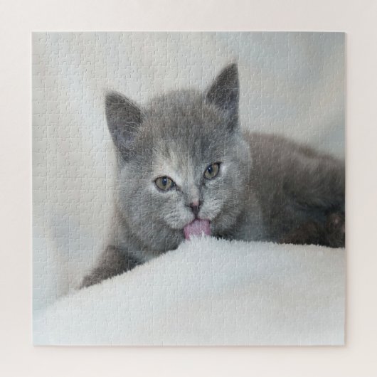 Grijze kitten likt sneeuw legpuzzel (Verticaal)