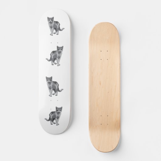 Grijze kitten persoonlijk skateboard (Voorkant)