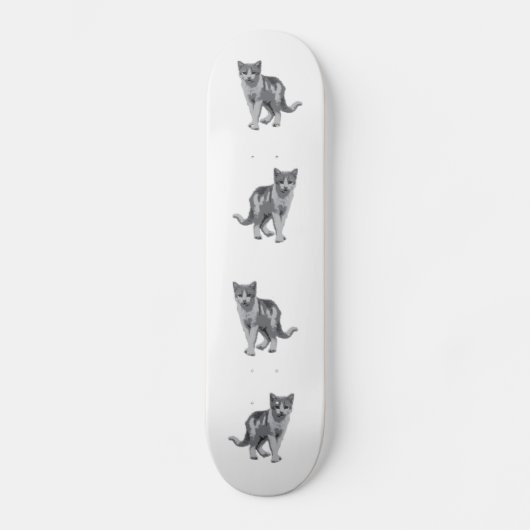 Grijze kitten persoonlijk skateboard (Voorkant)