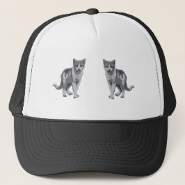 Grijze kitten trucker pet