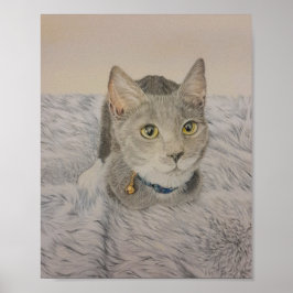 Grijze kittenposter poster