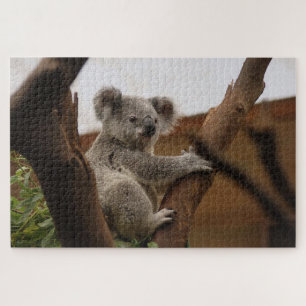 Grijze koala beer op een boom legpuzzel