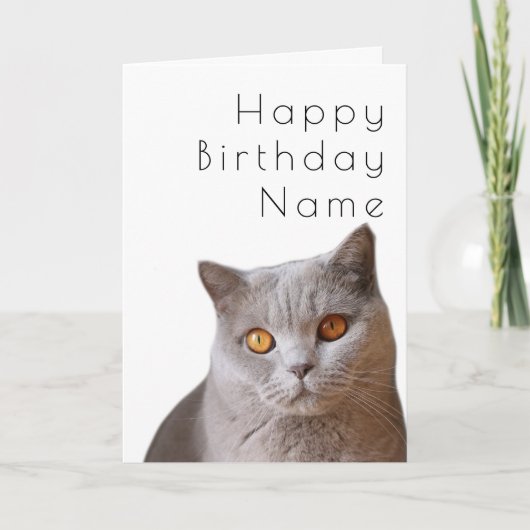 Grijze korrelige kattenkat art. Deco Birthday-kaar Kaart (Voorkant)