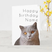 Grijze korrelige kattenkat art. Deco Birthday-kaar Kaart (Gele Bloem)