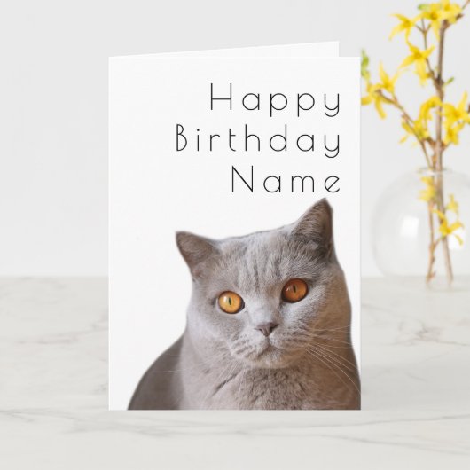 Grijze korrelige kattenkat art. Deco Birthday-kaar Kaart (Gele Bloem)