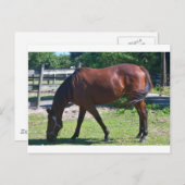 Grijze korrels briefkaart (Voorkant / Achterkant)