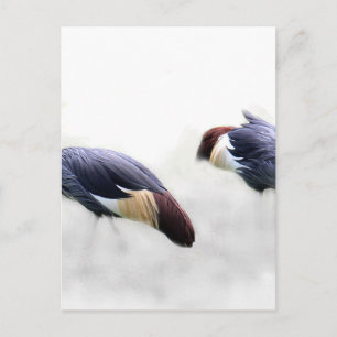 grijze kroon kraanvogel vleugels veren briefkaart