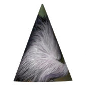 Grijze kroonkraanvogel Pet Feesthoedjes (Voorkant)