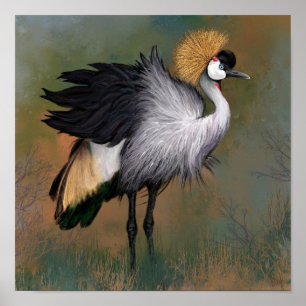 Grijze Kroonkraanvogel Poster Schilderij
