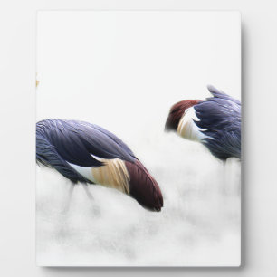 grijze kroonkraanvogel vleugels veren fotoplaat