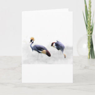 grijze kroonkraanvogel vleugels veren kaart