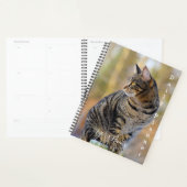 Grijze Lapjeskat - Dagelijkse Planner- HAMbWG Planner (Display)