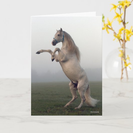 Grijze leeuwenkwekerij in de glazen mist kaart (Gele Bloem)